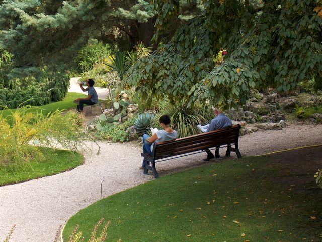 cet après-midi au jardin alpin du jardin des Plantes, photo Alina Reyes