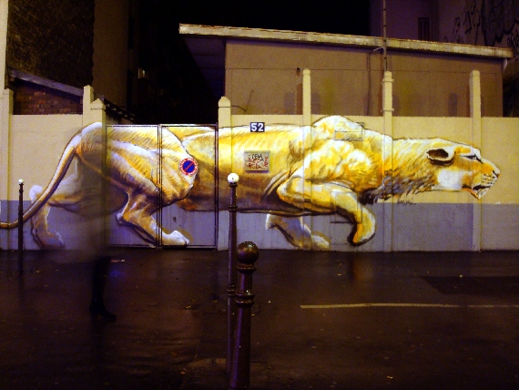 panthere-nuit-paris-14